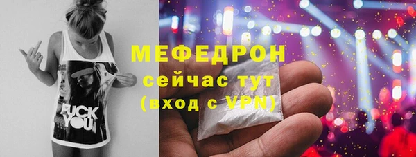 крисы Бородино