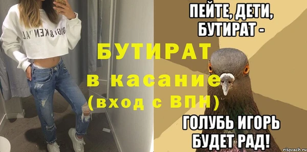крисы Бородино