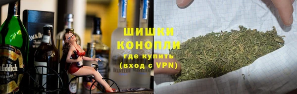 крисы Бородино