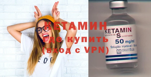 крисы Бородино