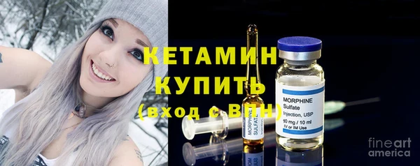 крисы Бородино
