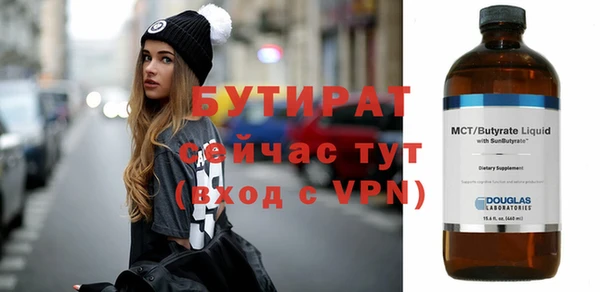крисы Бородино