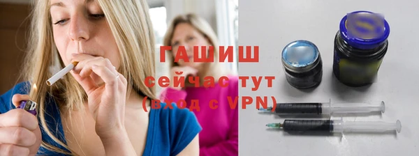 крисы Бородино