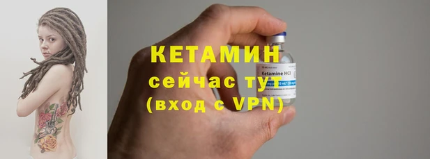 крисы Бородино