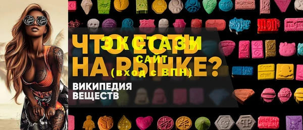 крисы Бородино