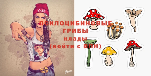 крисы Бородино