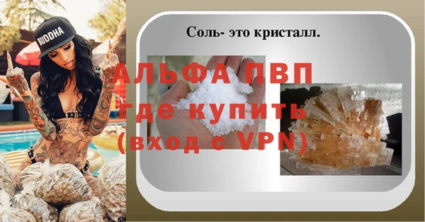 крисы Бородино