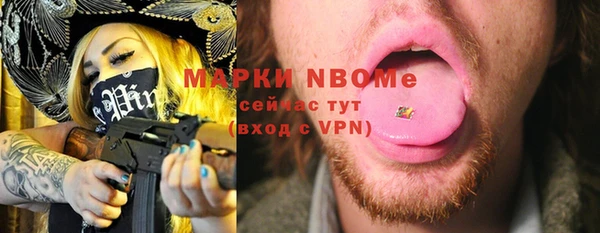 крисы Бородино