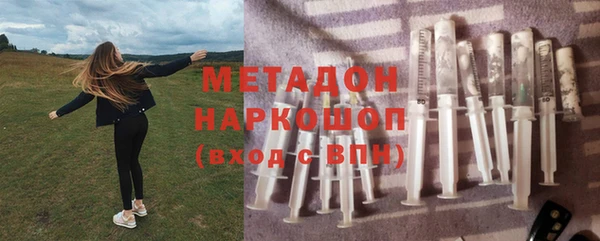 крисы Бородино
