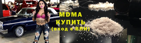 крисы Бородино