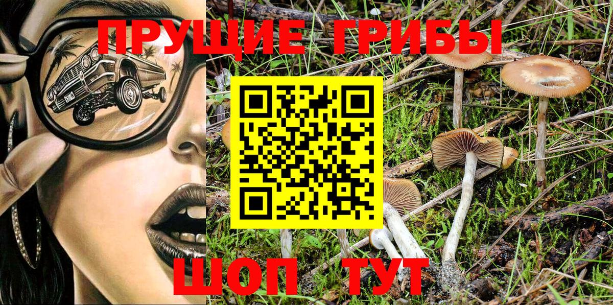 Галлюциногенные грибы MAGIC MUSHROOMS  Вход с VPN  наркотики  Галлюциногенные грибы Cubensis  Мурманск 